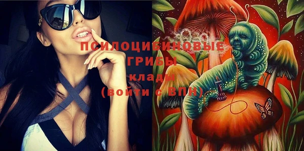СК Алзамай