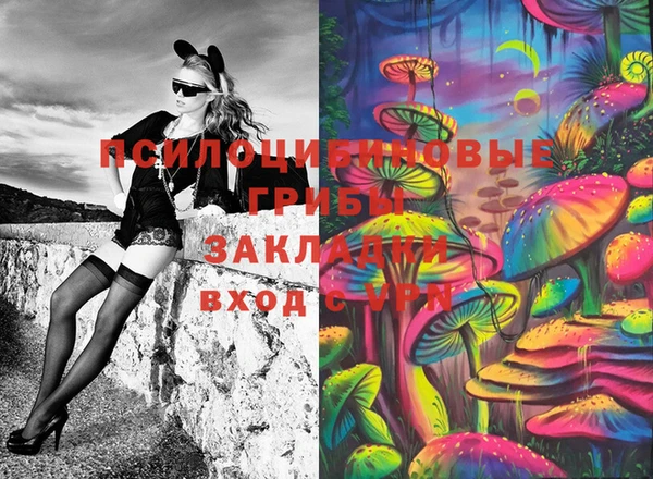 ПСИЛОЦИБИНОВЫЕ ГРИБЫ Алексин