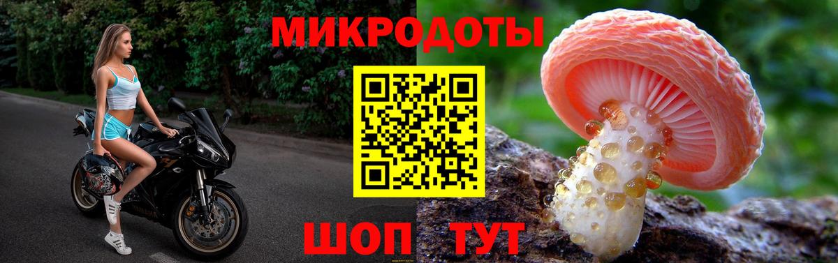 Кимовск  Галлюциногенные грибы мицелий  Вход с VPN 