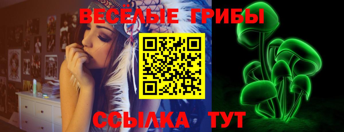 Галлюциногенные грибы MAGIC MUSHROOMS Кимовск